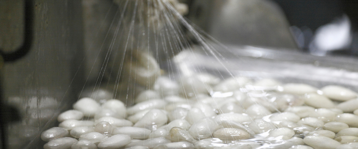 La soie est-elle écologique et éthique?