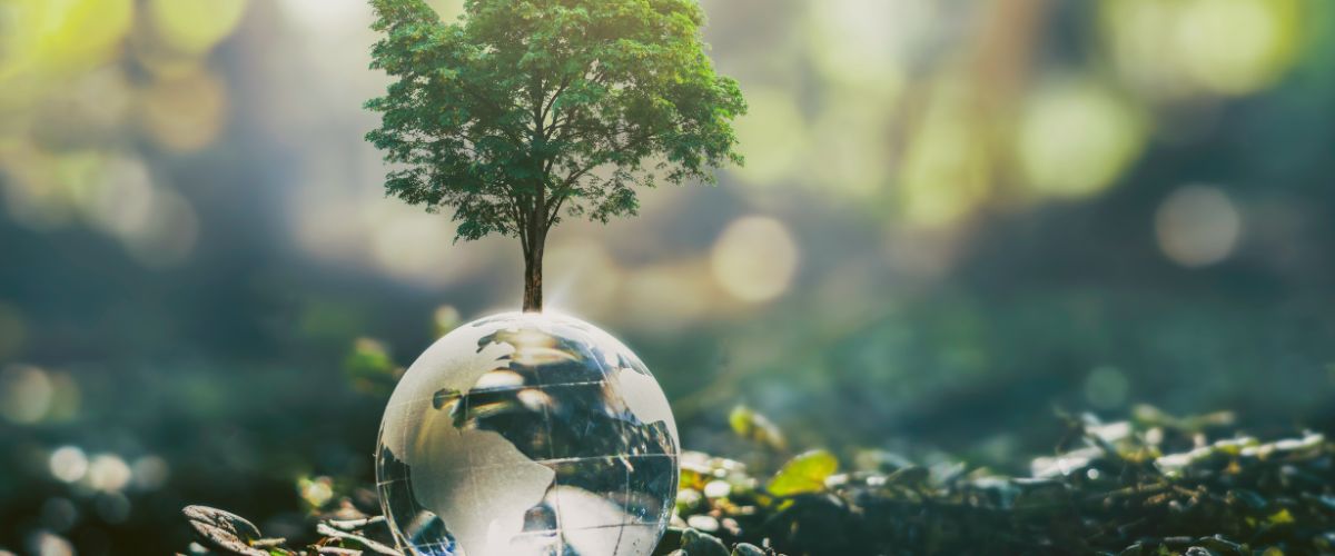 Développement durable: Qu'est-ce que ça veut dire exactement?